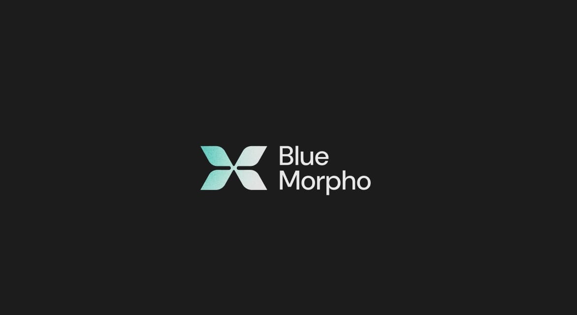 Blue Morpho Manifesto for implementing Knowledge Graphs, Ontologies and LLMs in the enterprise